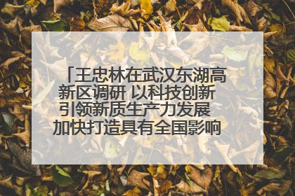 王忠林在武汉东湖高新区调研 以科技创新引领新质生产力发展 加快打造具有全国影响力的科技创新高地