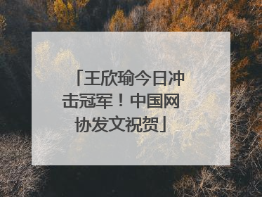 王欣瑜今日冲击冠军！中国网协发文祝贺
