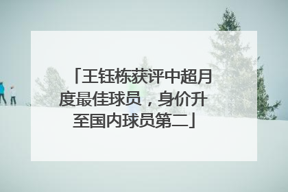 王钰栋获评中超月度最佳球员，身价升至国内球员第二