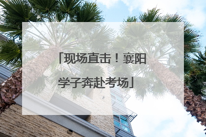 现场直击！襄阳学子奔赴考场