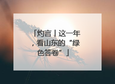 灼言丨这一年，看山东的“绿色答卷”