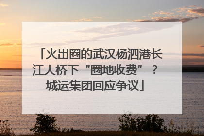 火出圈的武汉杨泗港长江大桥下“圈地收费”？城运集团回应争议