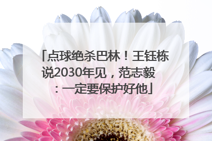 点球绝杀巴林！王钰栋说2030年见，范志毅：一定要保护好他