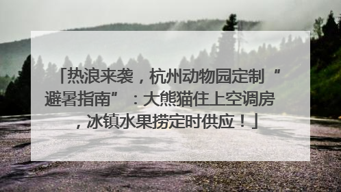 热浪来袭，杭州动物园定制“避暑指南”：大熊猫住上空调房，冰镇水果捞定时供应！