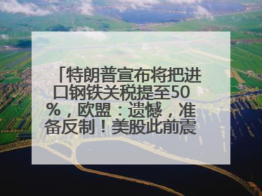 特朗普宣布将把进口钢铁关税提至50%，欧盟：遗憾，准备反制！美股此前震荡，机构：美元正进入熊市