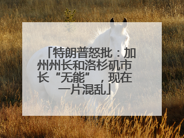 特朗普怒批：加州州长和洛杉矶市长“无能”，现在一片混乱