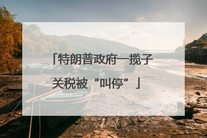 特朗普政府一揽子关税被“叫停”