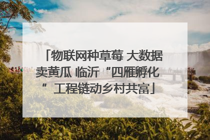 物联网种草莓 大数据卖黄瓜 临沂“四雁孵化”工程链动乡村共富