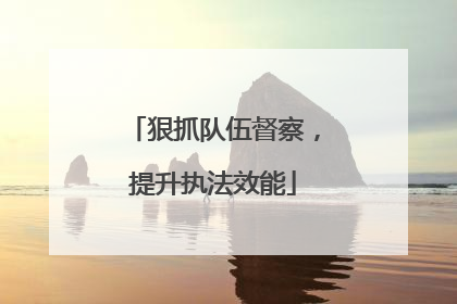 狠抓队伍督察，提升执法效能