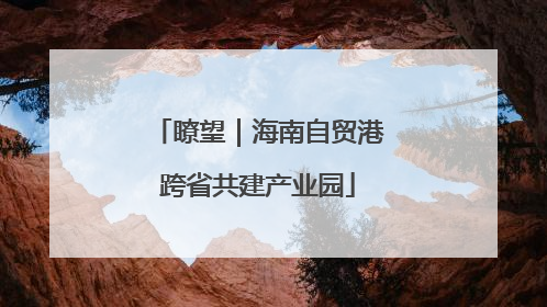 瞭望｜海南自贸港跨省共建产业园