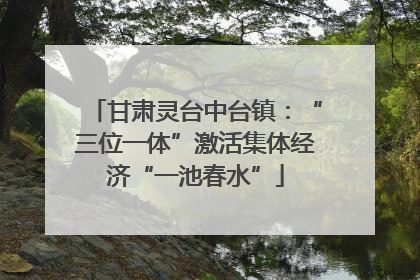 甘肃灵台中台镇：“三位一体”激活集体经济“一池春水”