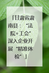甘肃省肃南县：“法院+工会”深入企业开展“精准体检”