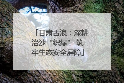 甘肃古浪：深耕治沙“织绿” 筑牢生态安全屏障