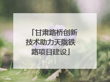 甘肃路桥创新技术助力天陇铁路项目建设