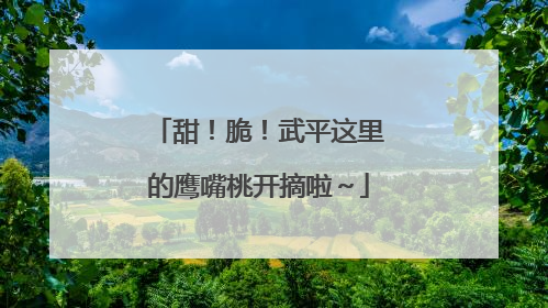 甜！脆！武平这里的鹰嘴桃开摘啦～