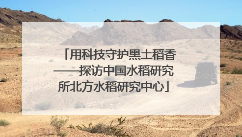 用科技守护黑土稻香——探访中国水稻研究所北方水稻研究中心