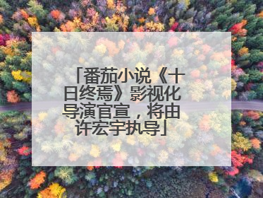 番茄小说《十日终焉》影视化导演官宣，将由许宏宇执导