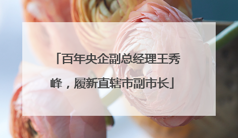 百年央企副总经理王秀峰，履新直辖市副市长