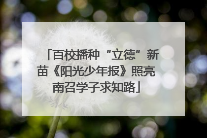 百校播种“立德”新苗《阳光少年报》照亮南召学子求知路