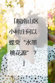 皖南山区小村庄何以蝶变“水墨桃花源”？