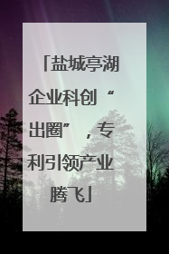盐城亭湖企业科创“出圈”，专利引领产业腾飞