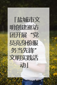 盐城市文明创建巡访团开展“党员亮身份服务当先锋”文明实践活动