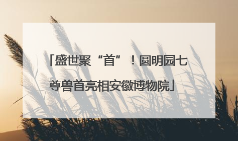 盛世聚“首”！圆明园七尊兽首亮相安徽博物院