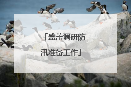 盛蕾调研防汛准备工作