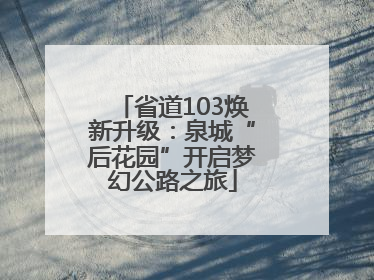 省道103焕新升级：泉城“后花园”开启梦幻公路之旅