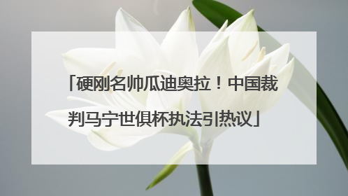 硬刚名帅瓜迪奥拉！中国裁判马宁世俱杯执法引热议