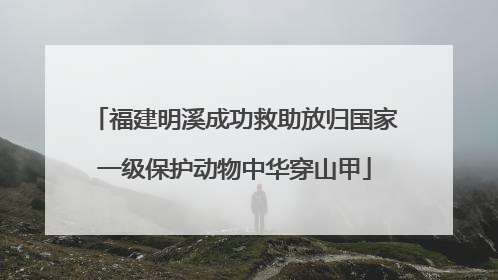 福建明溪成功救助放归国家一级保护动物中华穿山甲