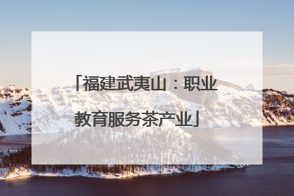 福建武夷山：职业教育服务茶产业
