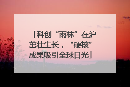 科创“雨林”在沪茁壮生长，“硬核”成果吸引全球目光