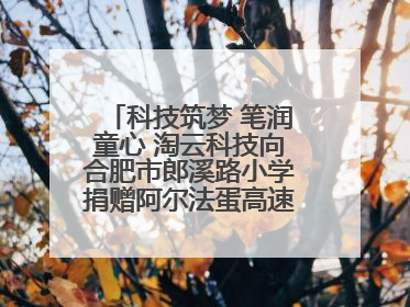 科技筑梦 笔润童心 淘云科技向合肥市郎溪路小学捐赠阿尔法蛋高速词典笔