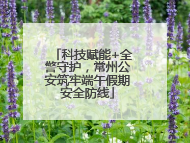 科技赋能+全警守护，常州公安筑牢端午假期安全防线