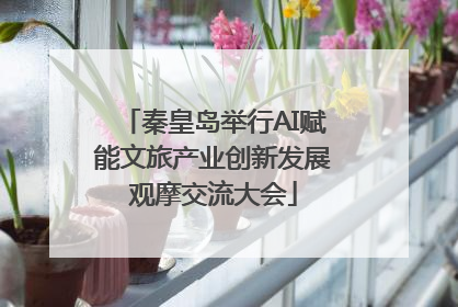 秦皇岛举行AI赋能文旅产业创新发展观摩交流大会