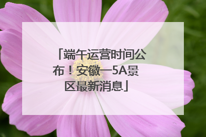 端午运营时间公布！安徽一5A景区最新消息
