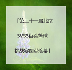 第二十一届北京3VS3街头篮球挑战赛圆满落幕