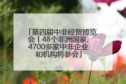 第四届中非经贸博览会丨48个非洲国家、4700多家中非企业和机构将参会