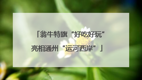 翁牛特旗“好吃好玩”亮相通州“运河西岸”