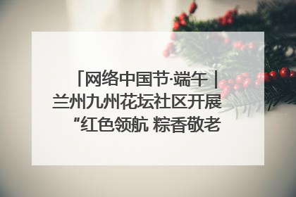 网络中国节·端午｜兰州九州花坛社区开展“红色领航 粽香敬老”端午主题活动
