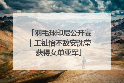 羽毛球印尼公开赛｜王祉怡不敌安洗莹 获得女单亚军