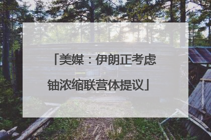 美媒：伊朗正考虑铀浓缩联营体提议