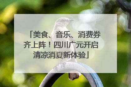 美食、音乐、消费券齐上阵！四川广元开启清凉消夏新体验