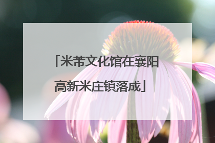 米芾文化馆在襄阳高新米庄镇落成