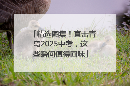 精选图集！直击青岛2025中考，这些瞬间值得回味