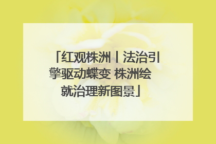 红观株洲丨法治引擎驱动蝶变 株洲绘就治理新图景
