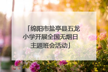 绵阳市盐亭县五龙小学开展全国无烟日主题班会活动