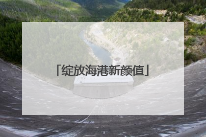 绽放海港新颜值