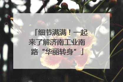 细节满满！一起来了解济南工业南路“华丽转身”